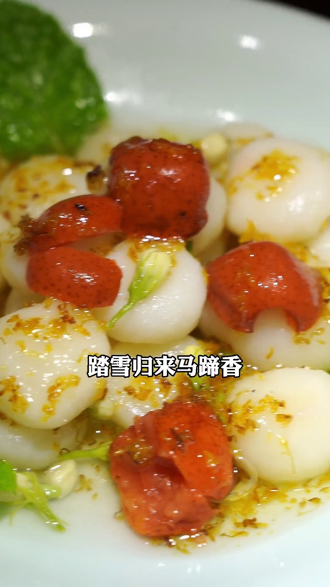 踏雪归来马蹄香