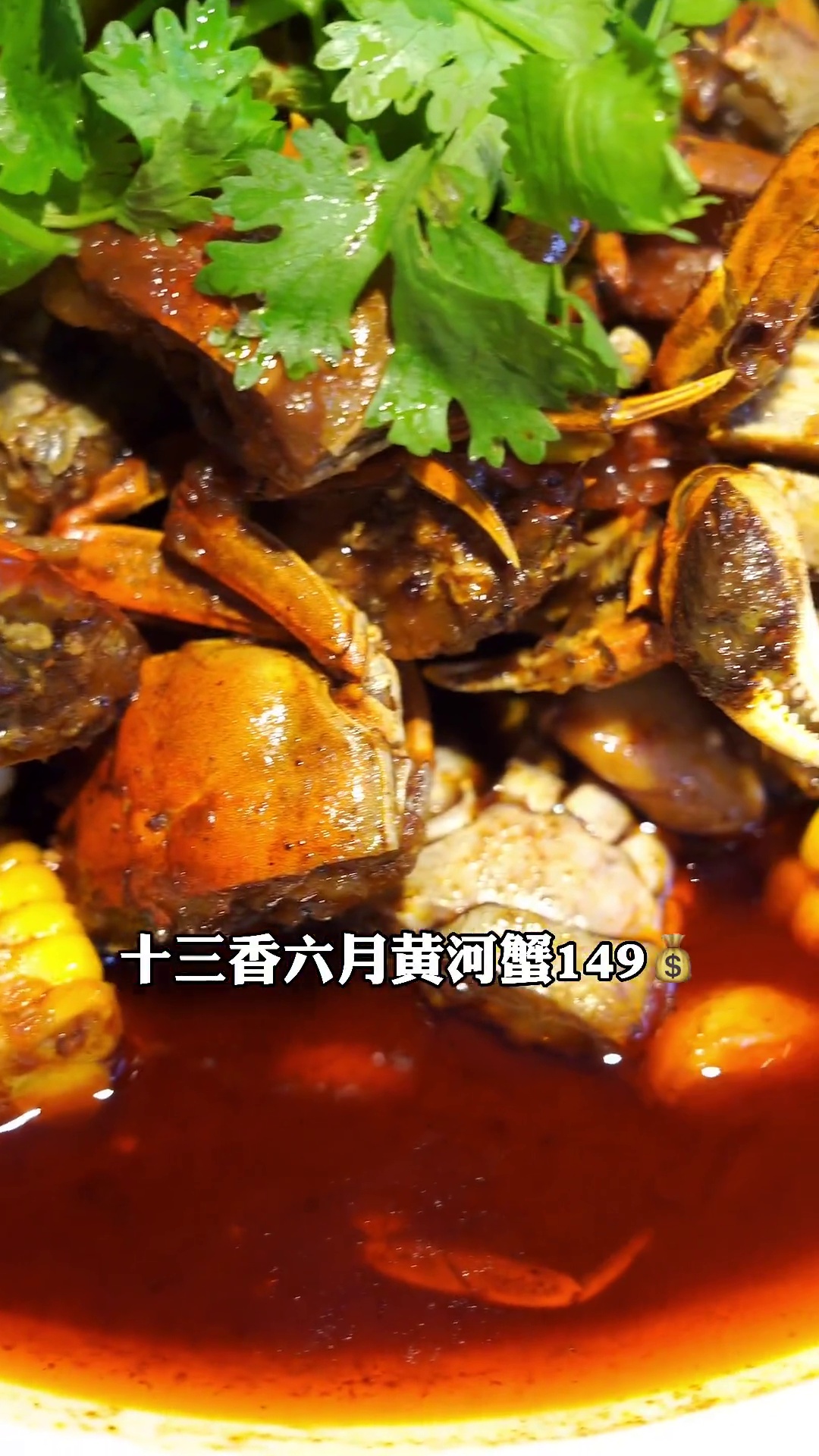 十三香六月黄河蟹