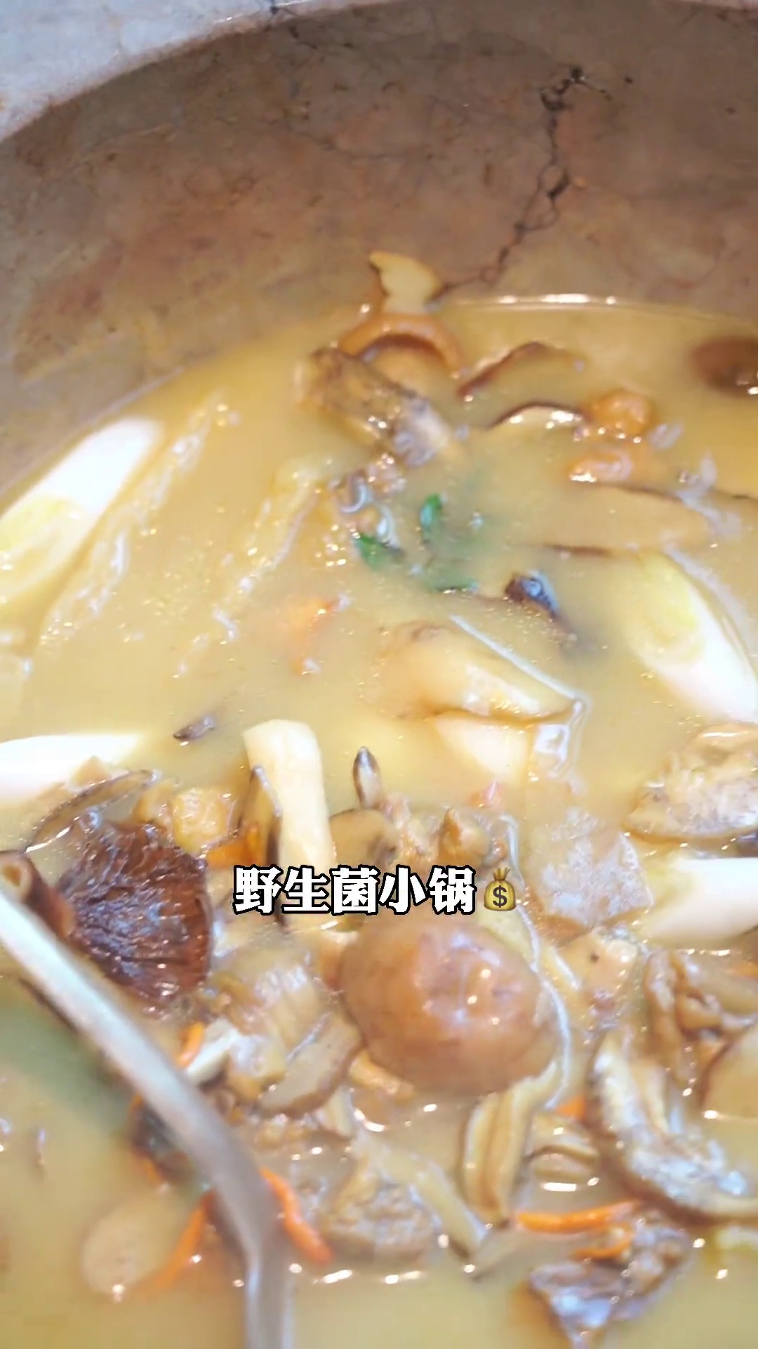 野生菌小锅