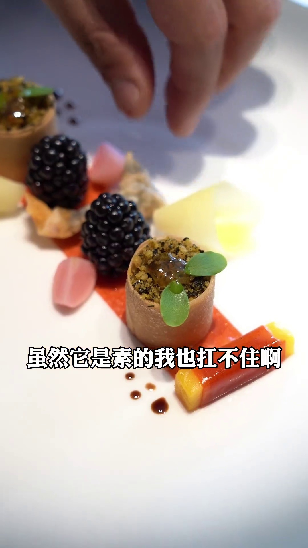 素果塔（卷筒款）