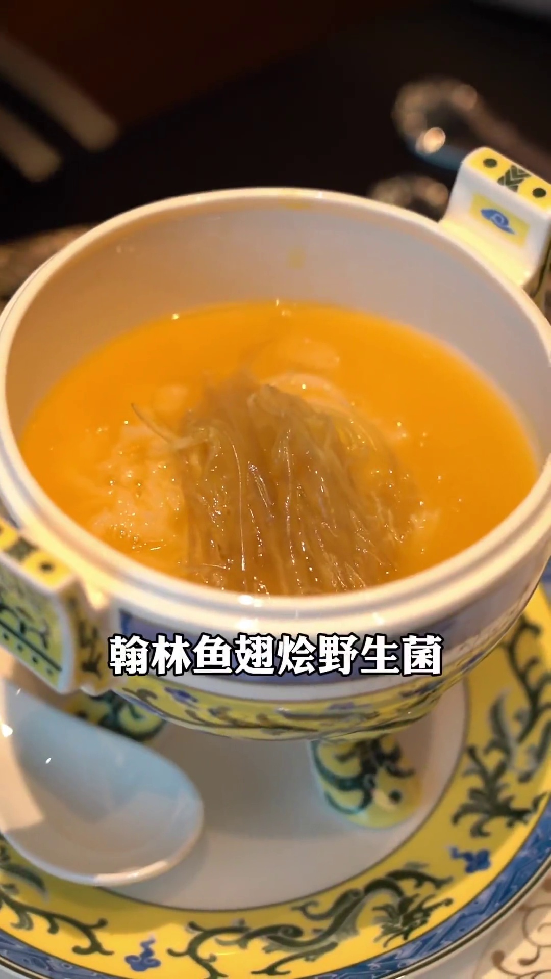 翰林鱼翅烩野生菌