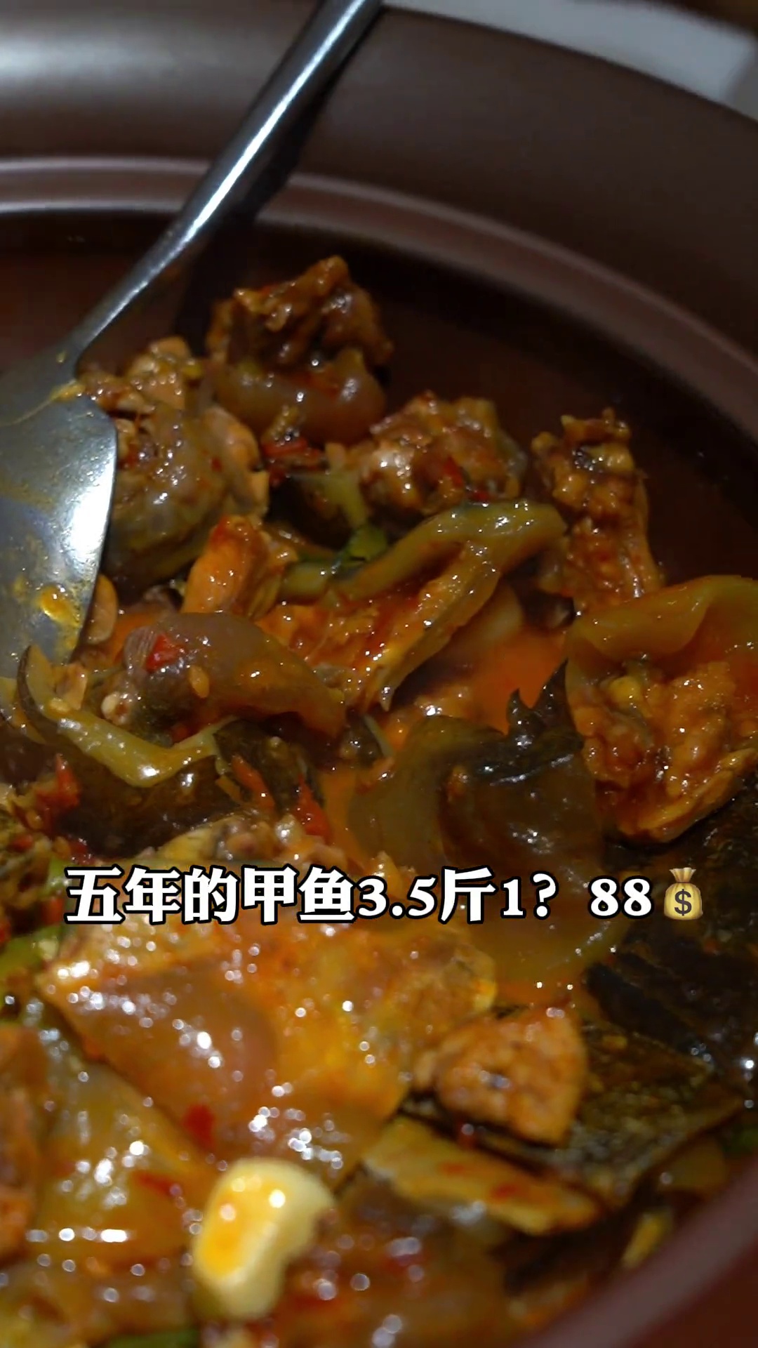 金沙酱烧五年甲鱼