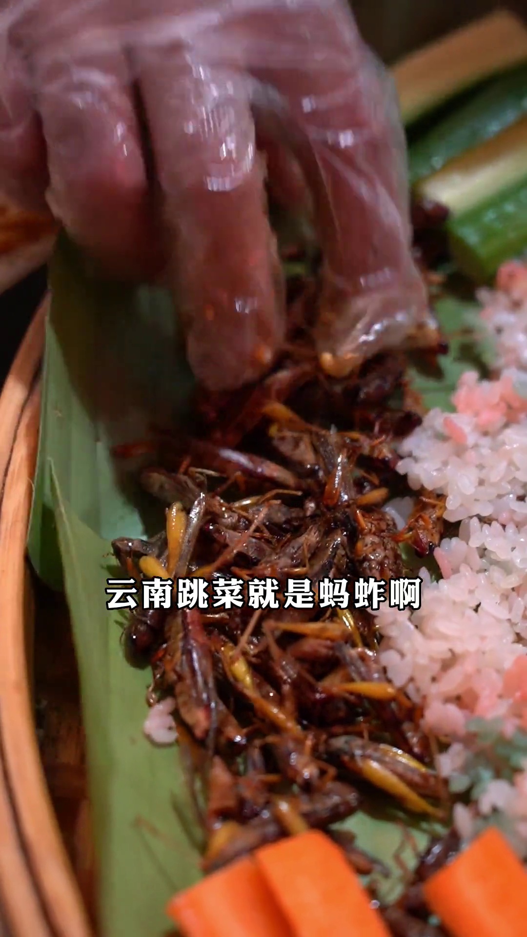 云南跳菜（炸蚂蚱）