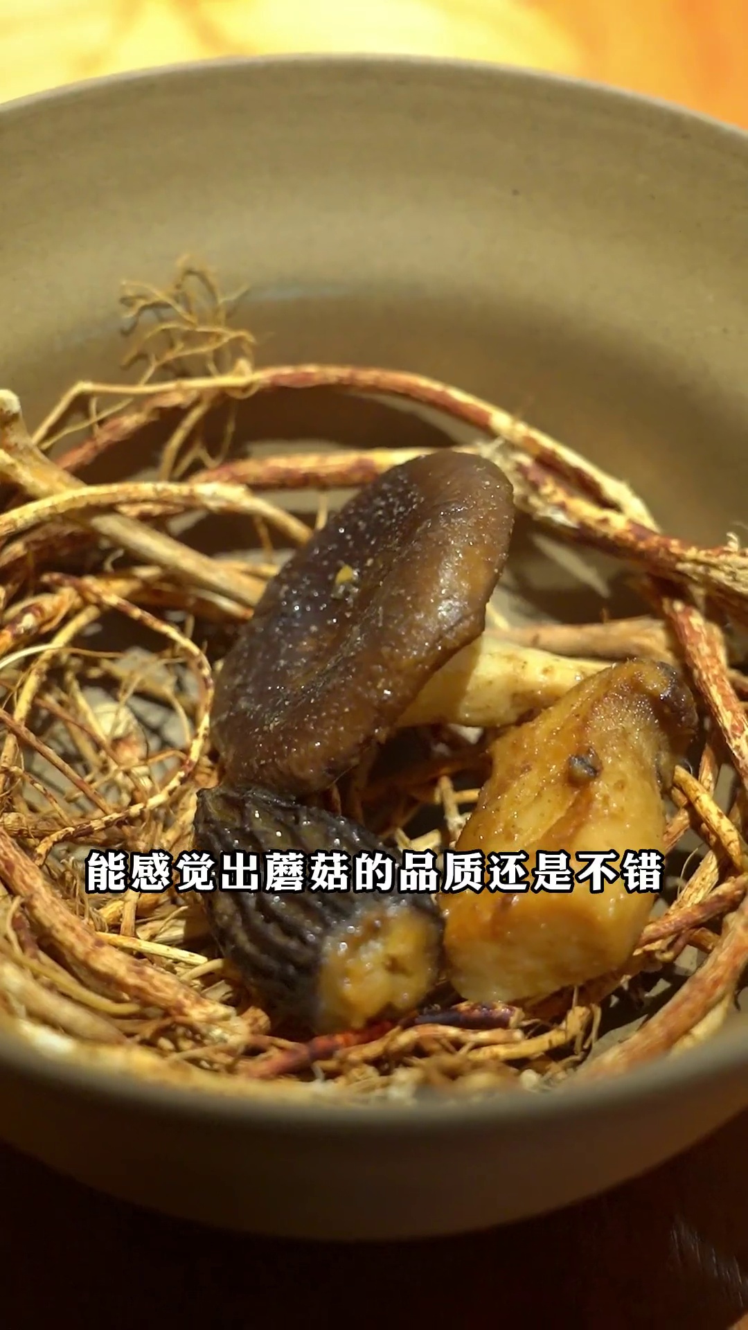 五指毛桃野生菌