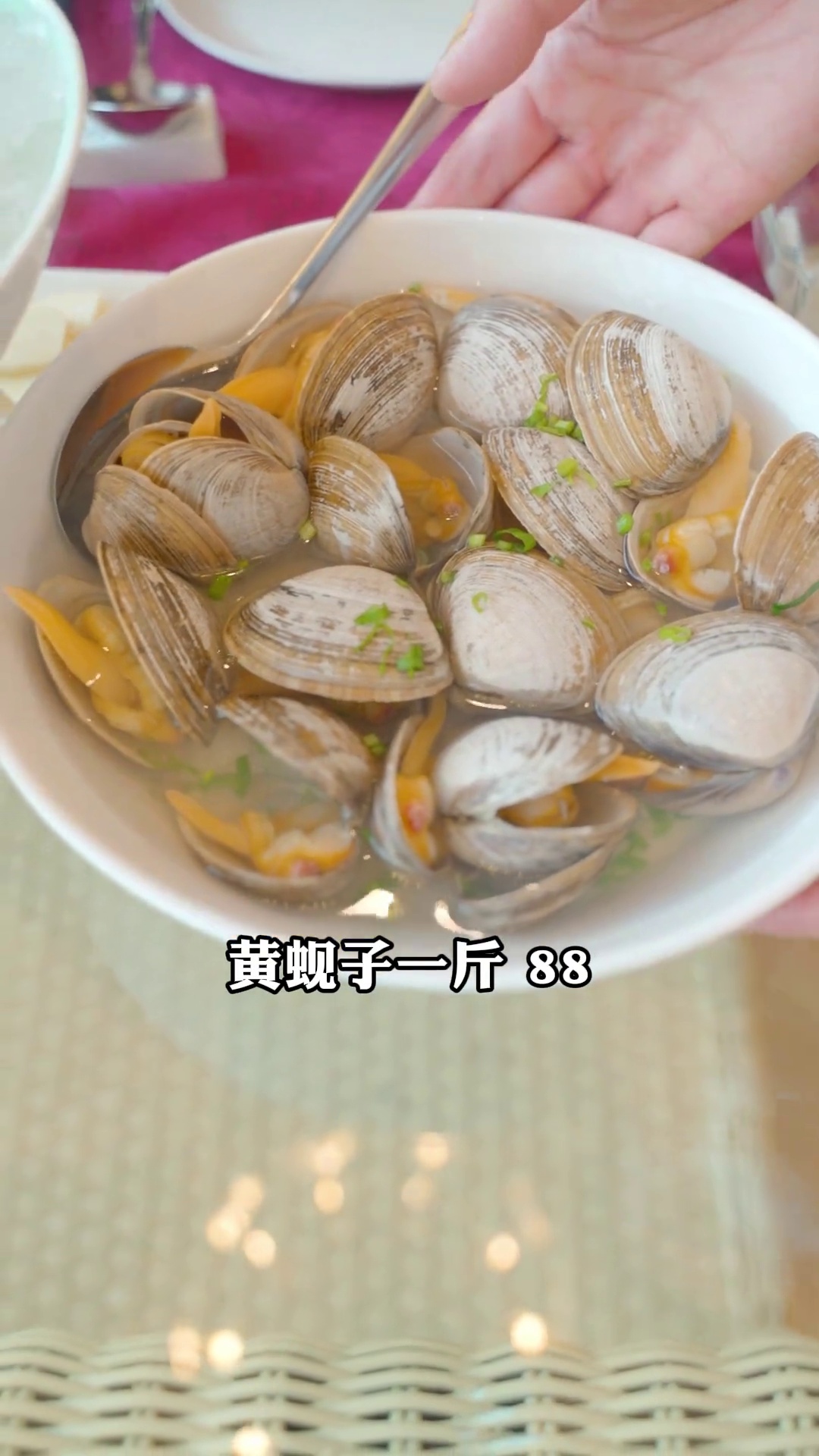 黄蚬子（雪蛤）