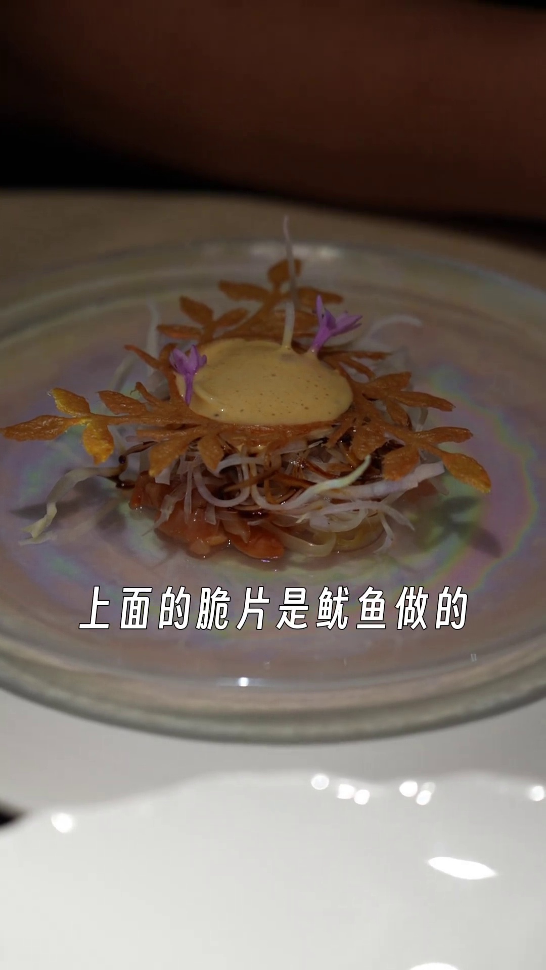 大连渤海湾赤贝